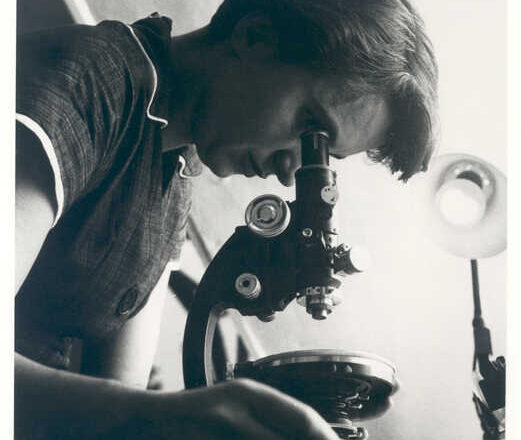 A trama,<br/> por Alfredo Behrens