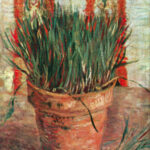 Cebollines, por Lucy Gómez