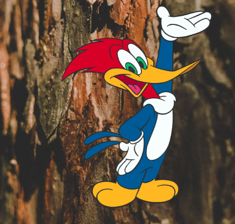 Te cuento que…<br/> por Suzan Matteo 22/3