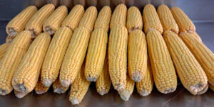 Mazprcas Atril press