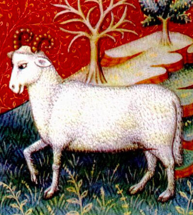 imageedit 28 4768044141 e1773334308289