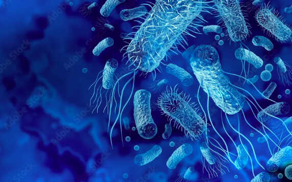 Brote bacteriano Atril press