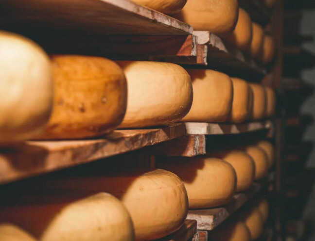 Queso de oveja, por Luis Ascanio