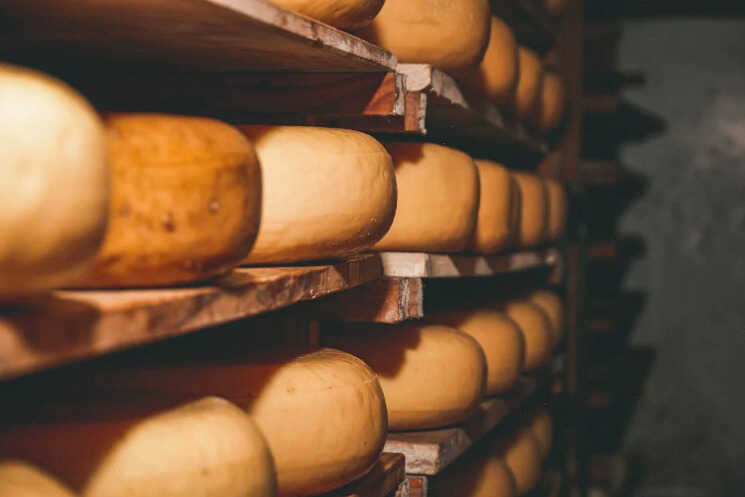 Queso de oveja Atril press