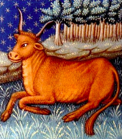 Tauro Atril press 2