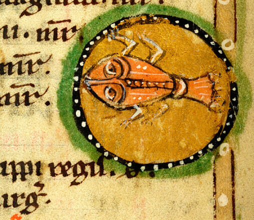 El mundo de Clara,<br/> por Clara Ruiz