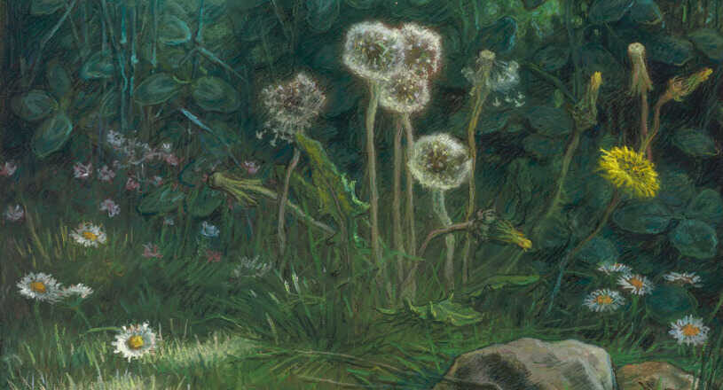 Diente de león,<br/> por Lucy Gómez