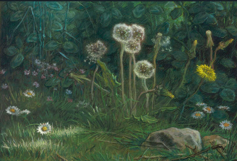 Diente de león,<br/> por Lucy Gómez 1 Jean Francois Millet Atrol press