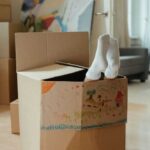 La caja,<br/> por Harold Vas