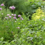 El jardín aromático,<br/> por Lucy Gómez