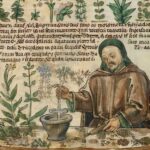 El jardín aromático,<br/> por Lucy Gómez